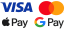 Kartenzahlung (GoPay) / Apple Pay / Google Pay